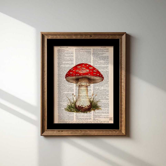 Red Mushroom IV image 1