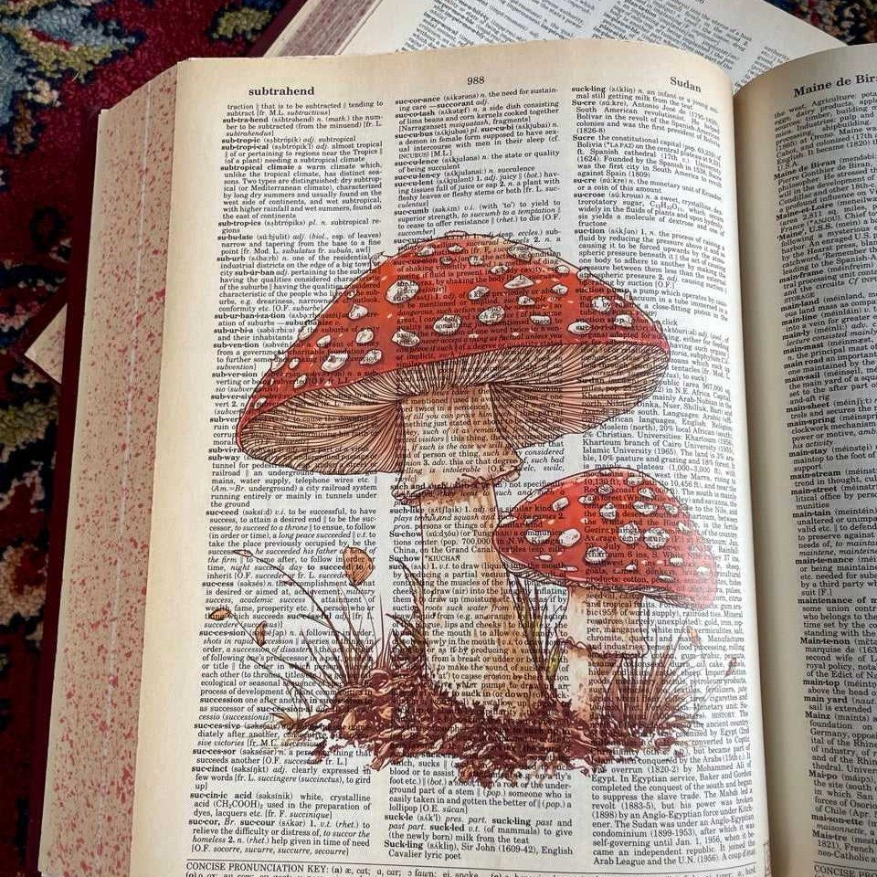 Red Mushroom III image 2