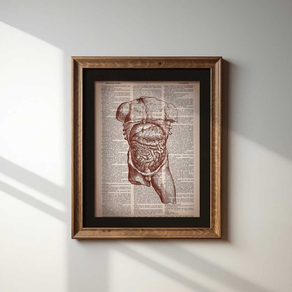 Torso - Open image 1