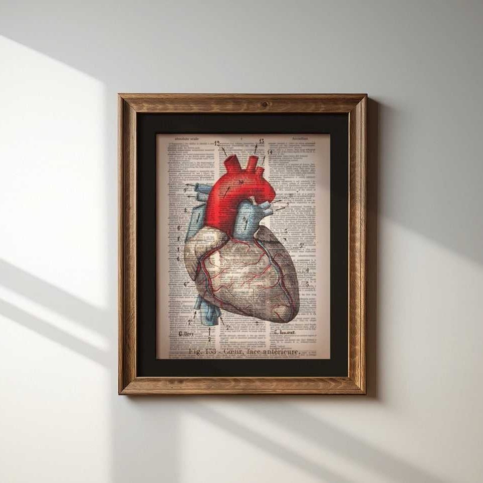Heart - Pulmonary image 1