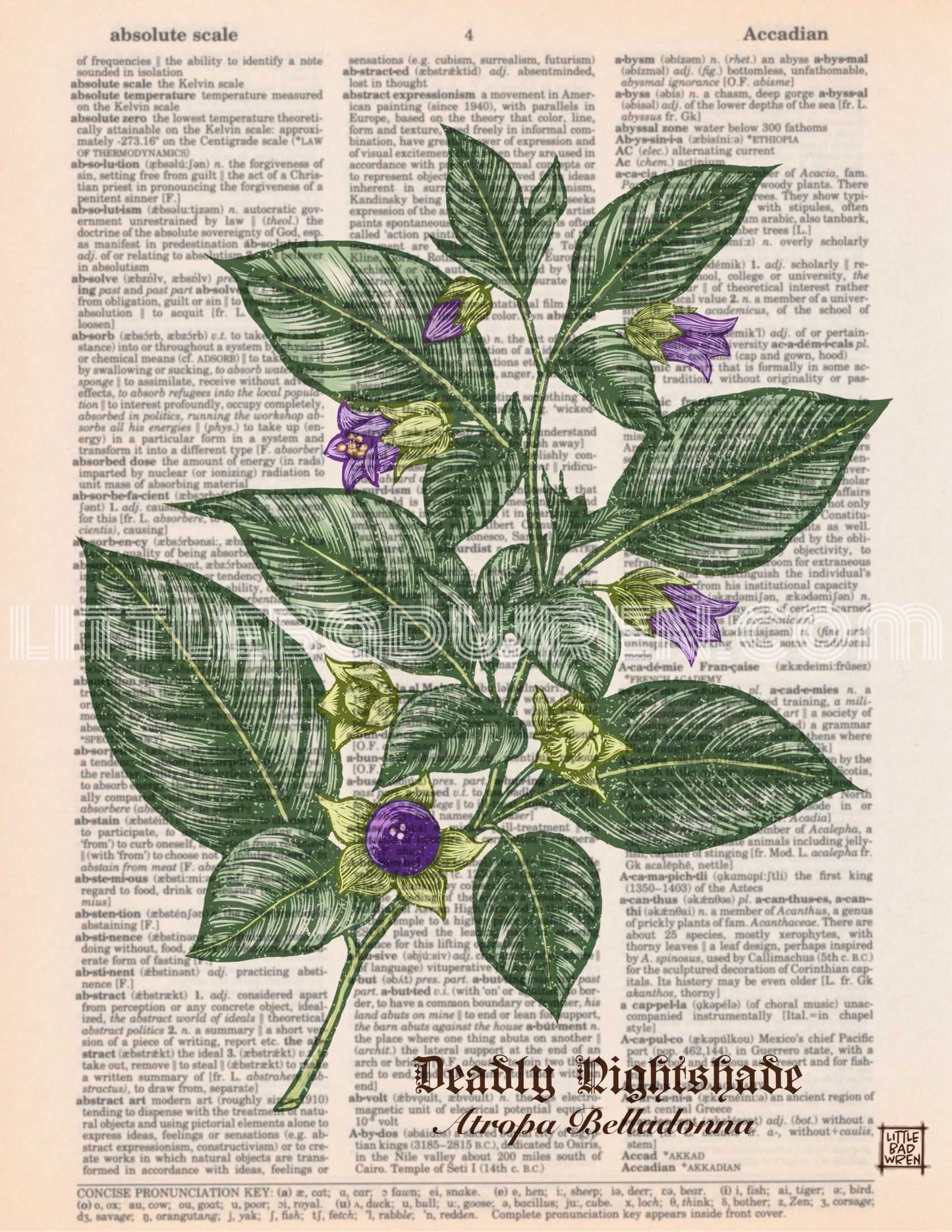 Deadly Nightshade