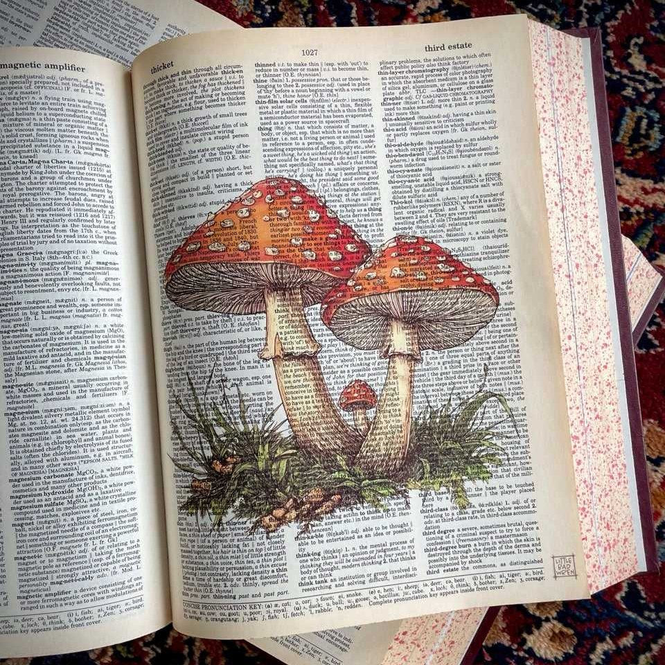 Orange Mushroom II image 2