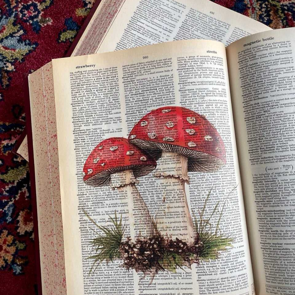 Red Mushroom II image 2