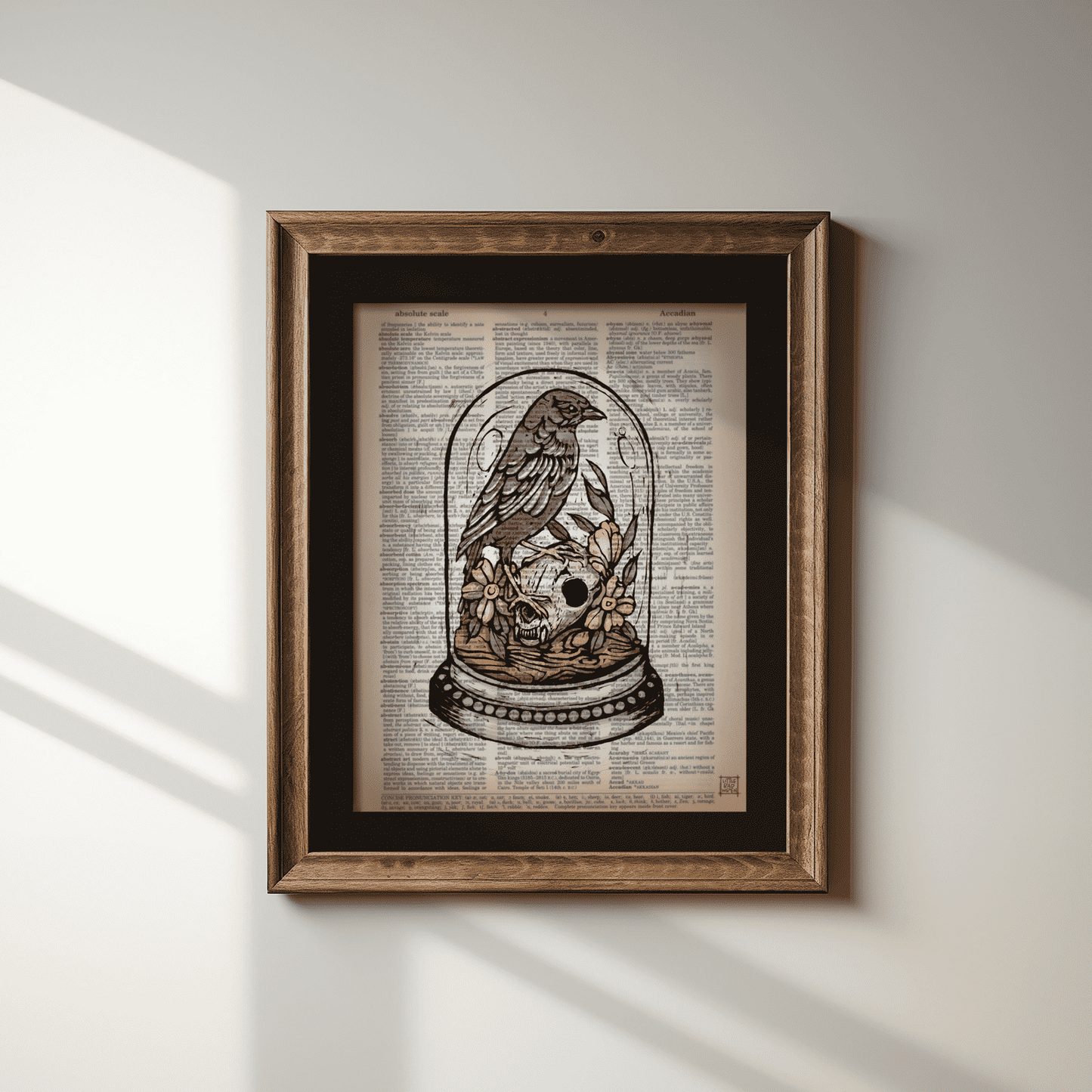 Bird Specimen image 1