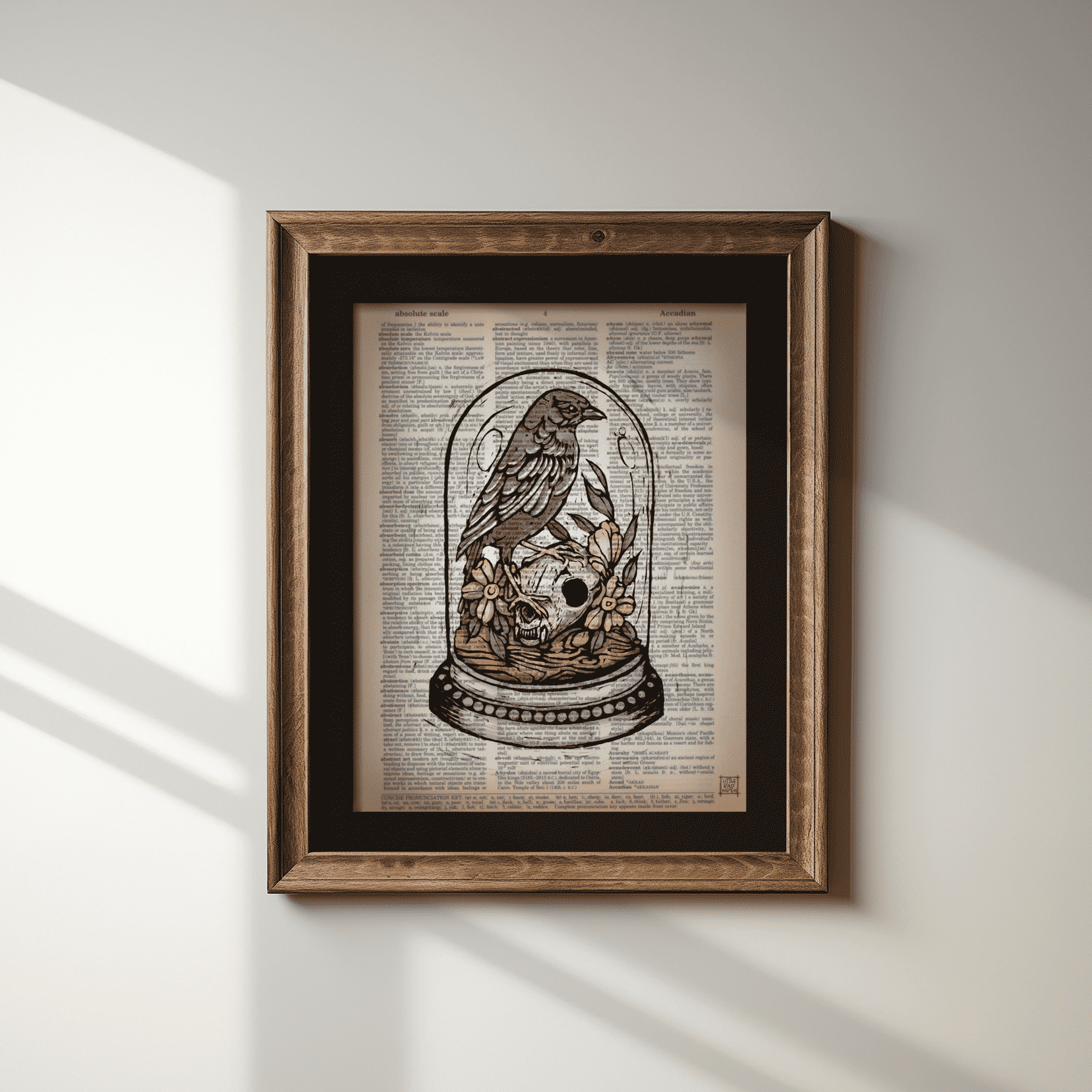 Bird Specimen image 1