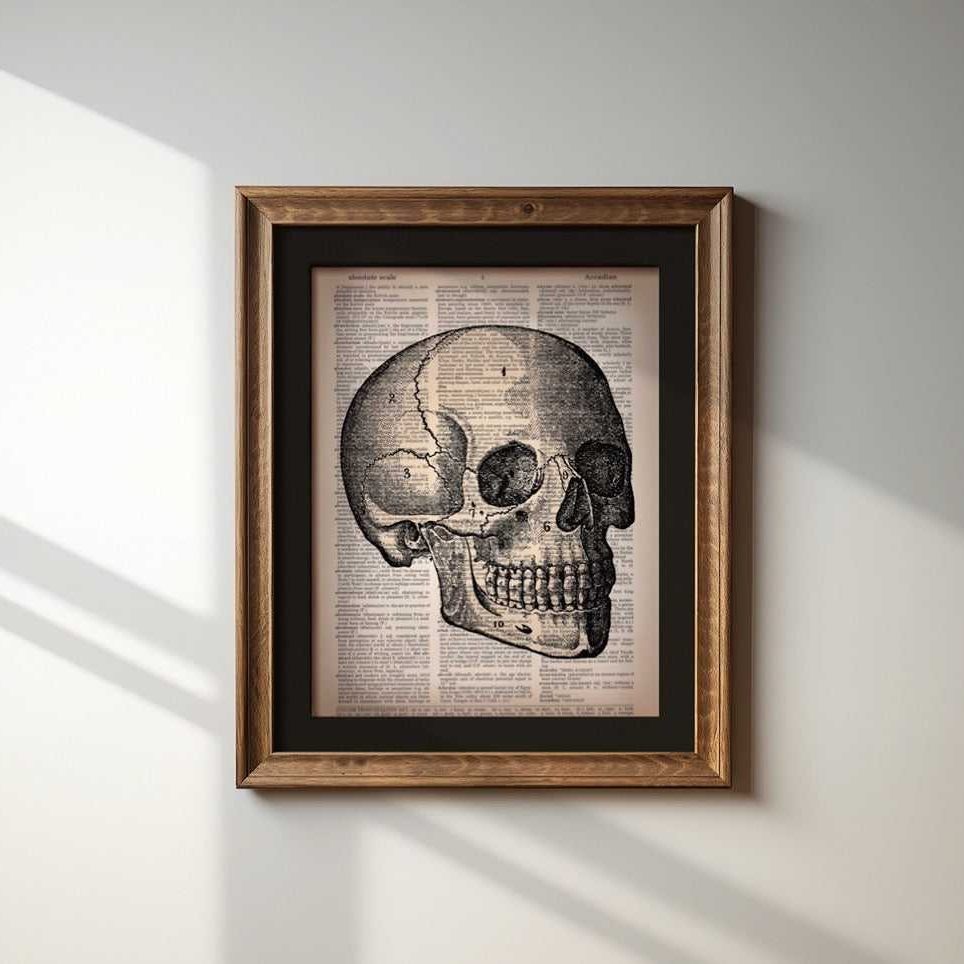 Skull B image 1