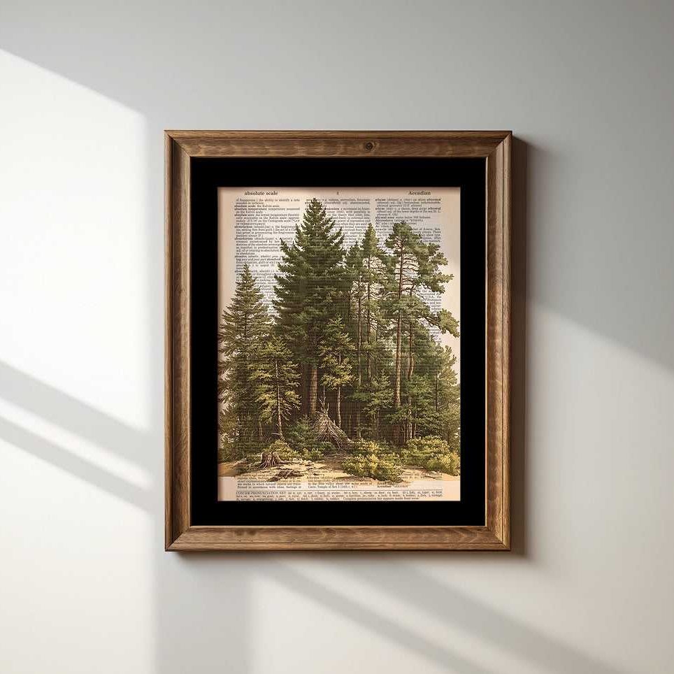 Forest II image 1