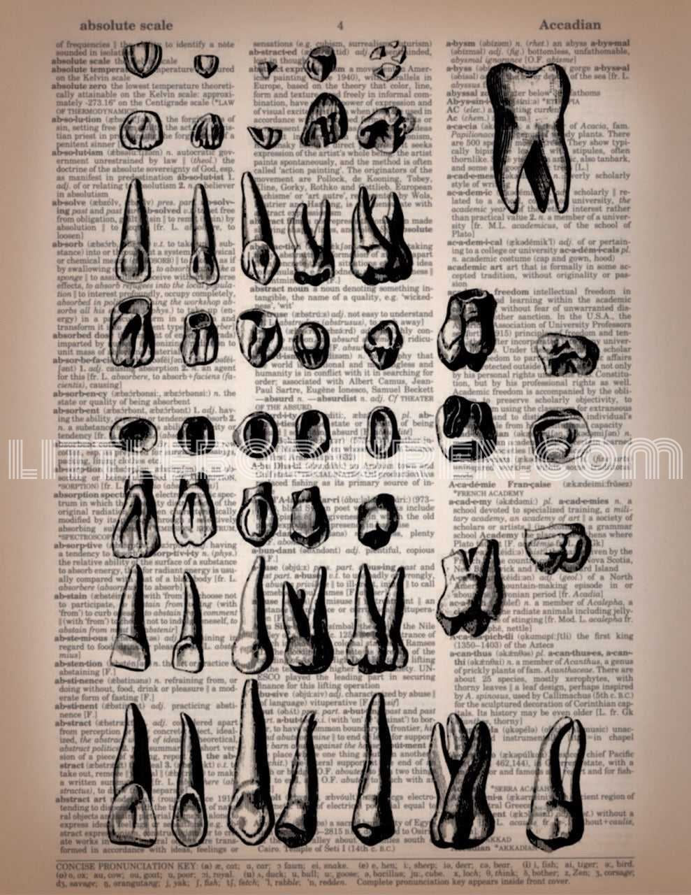 Teeth image 0