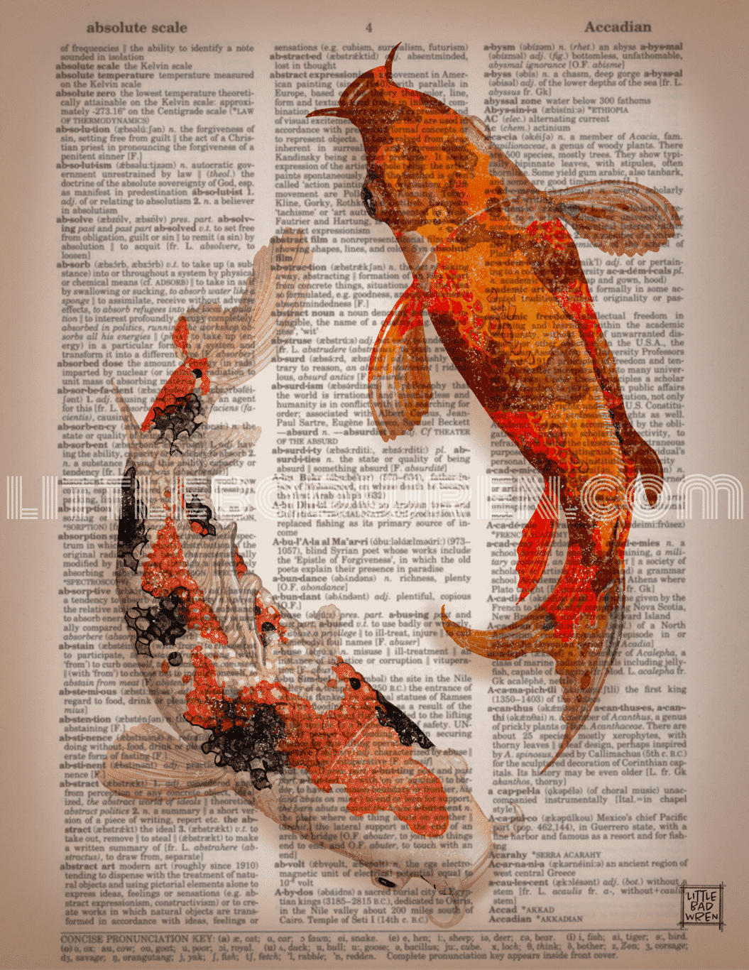 Koi image 0