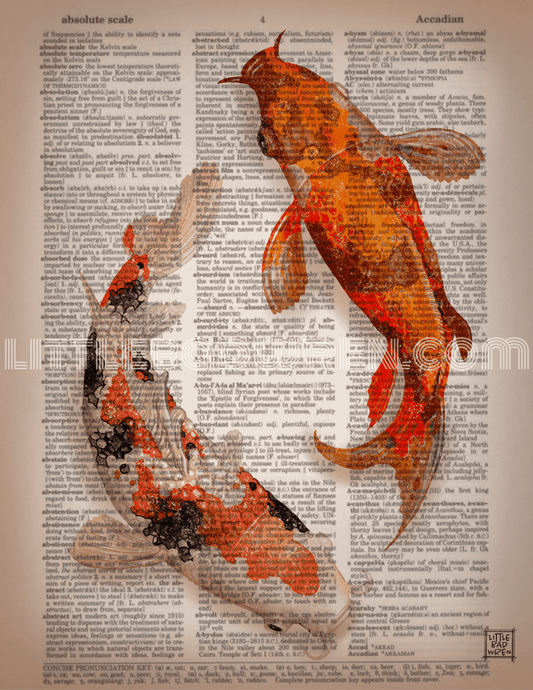 Koi image 0