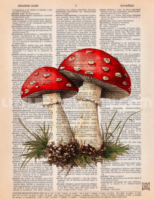 Red Mushroom II image 0