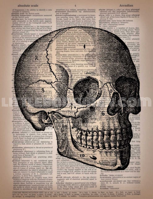 Skull B image 0