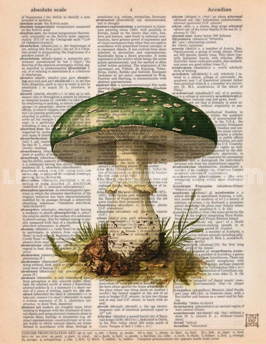 Green Mushroom image 0