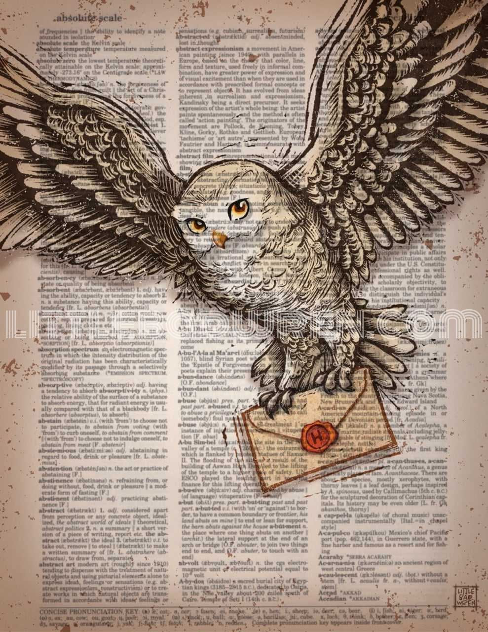 Hedwig ‘23 image 0