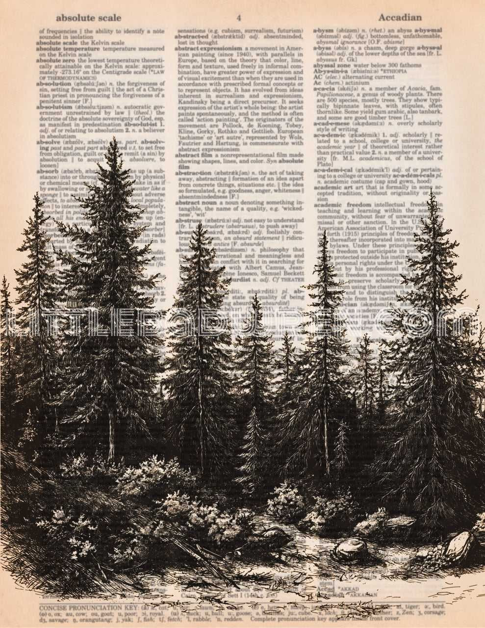 Forest I image 0