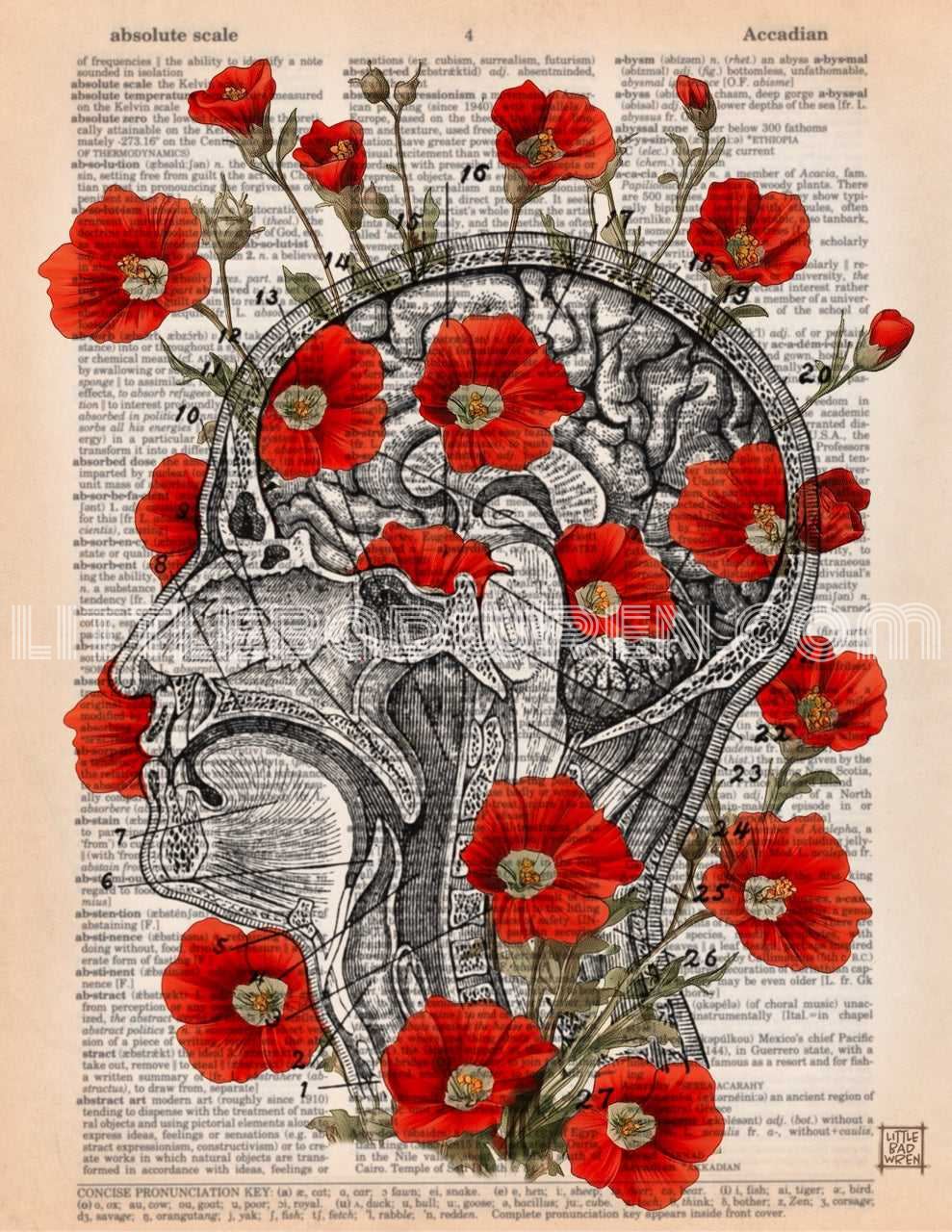 Head Floral image 0