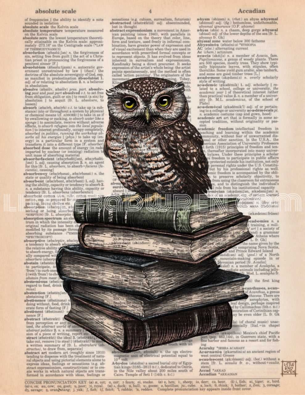 Books w/ Burrowing Owl image 0