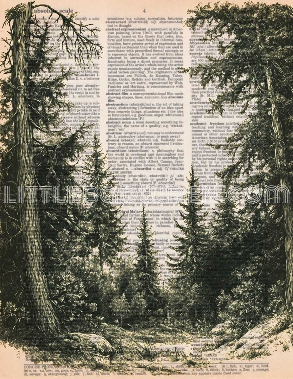 Forest III image 0