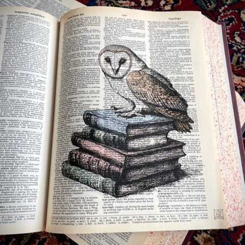 Books w/ Barn Owl image 2