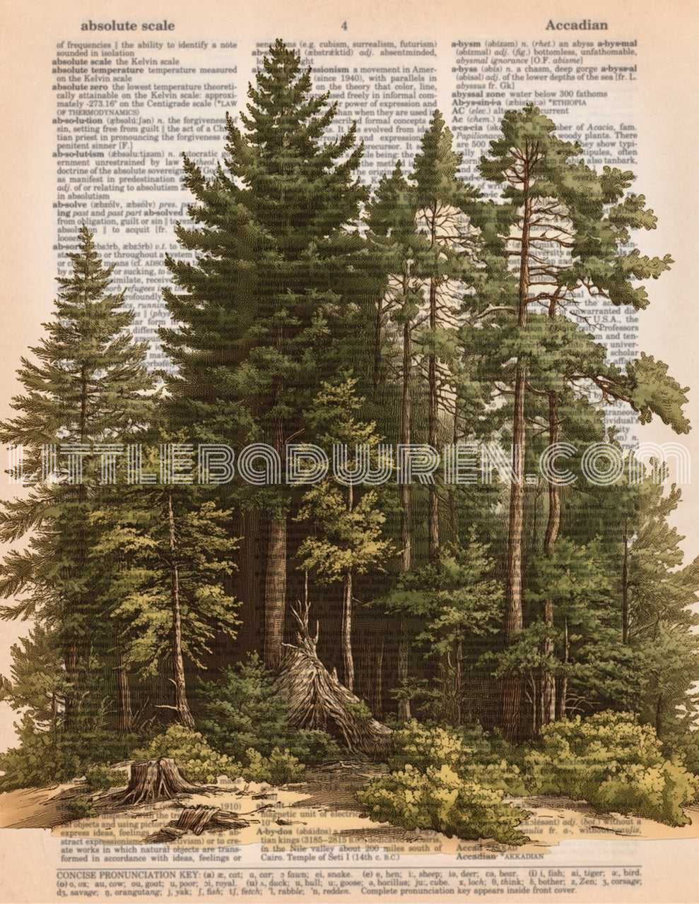 Forest II image 0