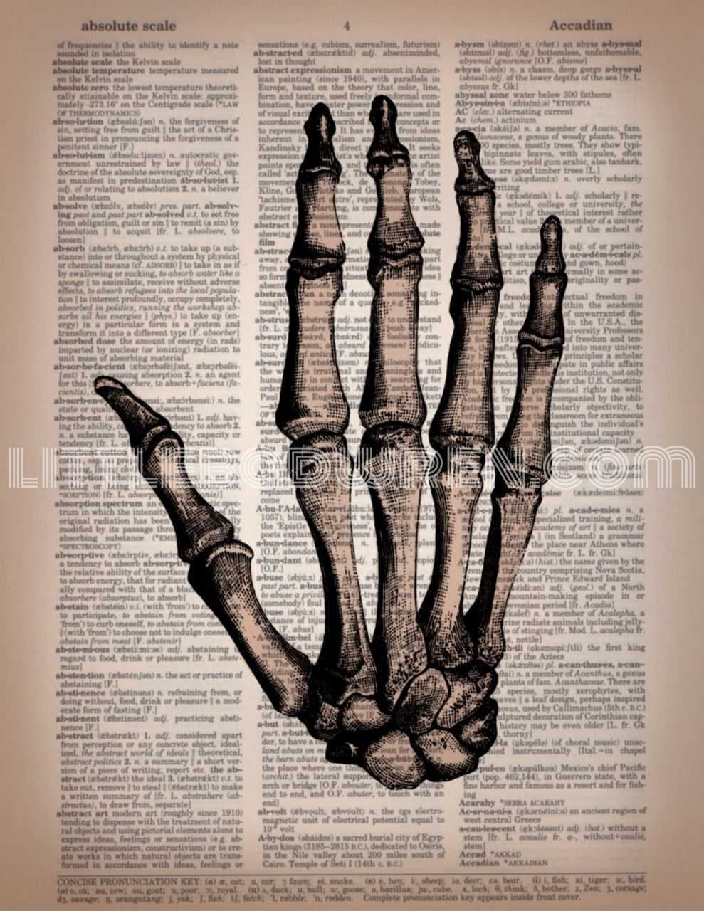 Skele Hand - R image 0