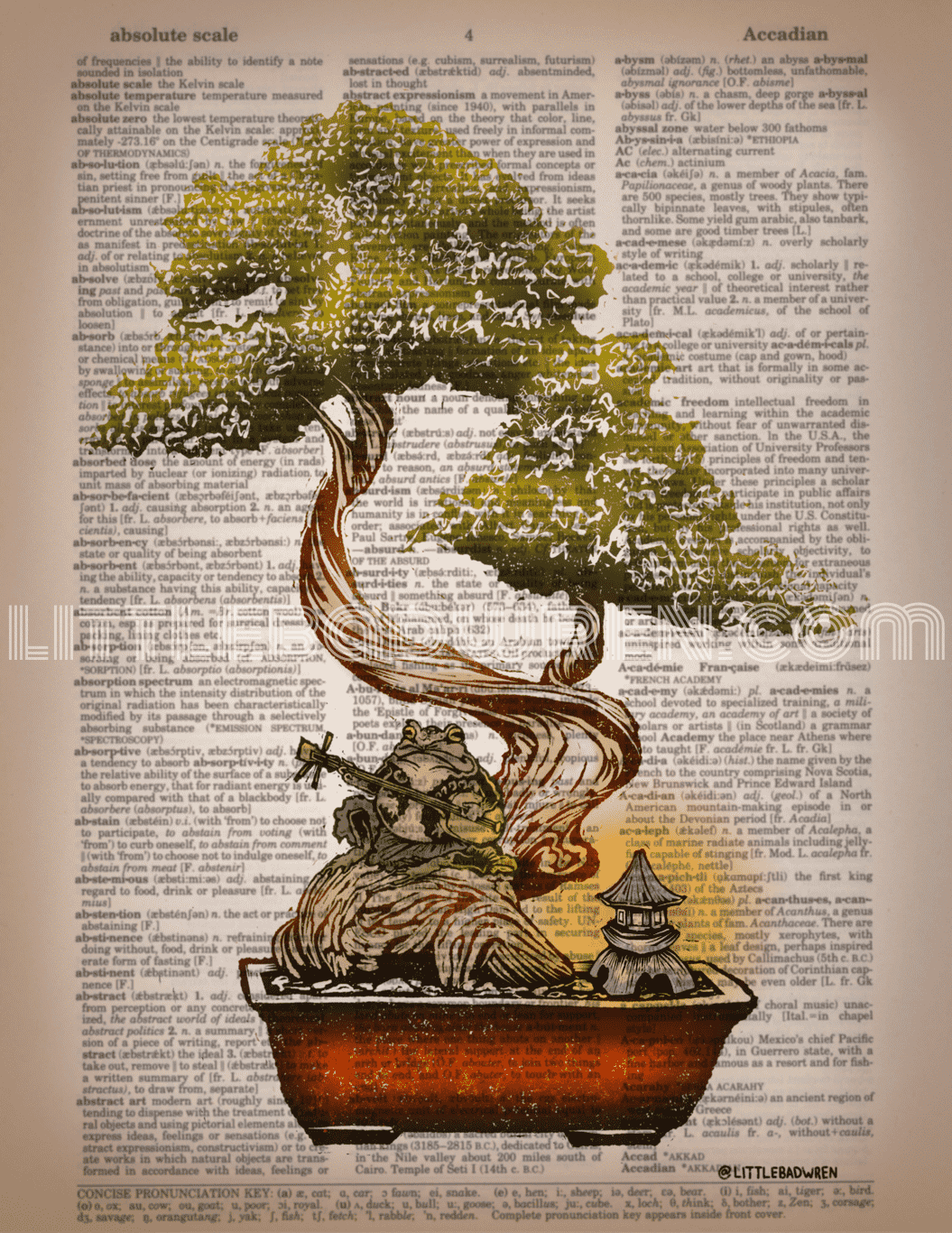 Bonsai Frog image 0