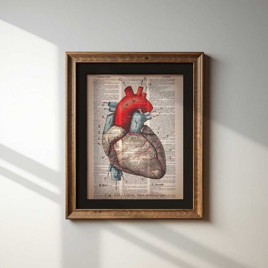 Heart - Pulmonary image 1