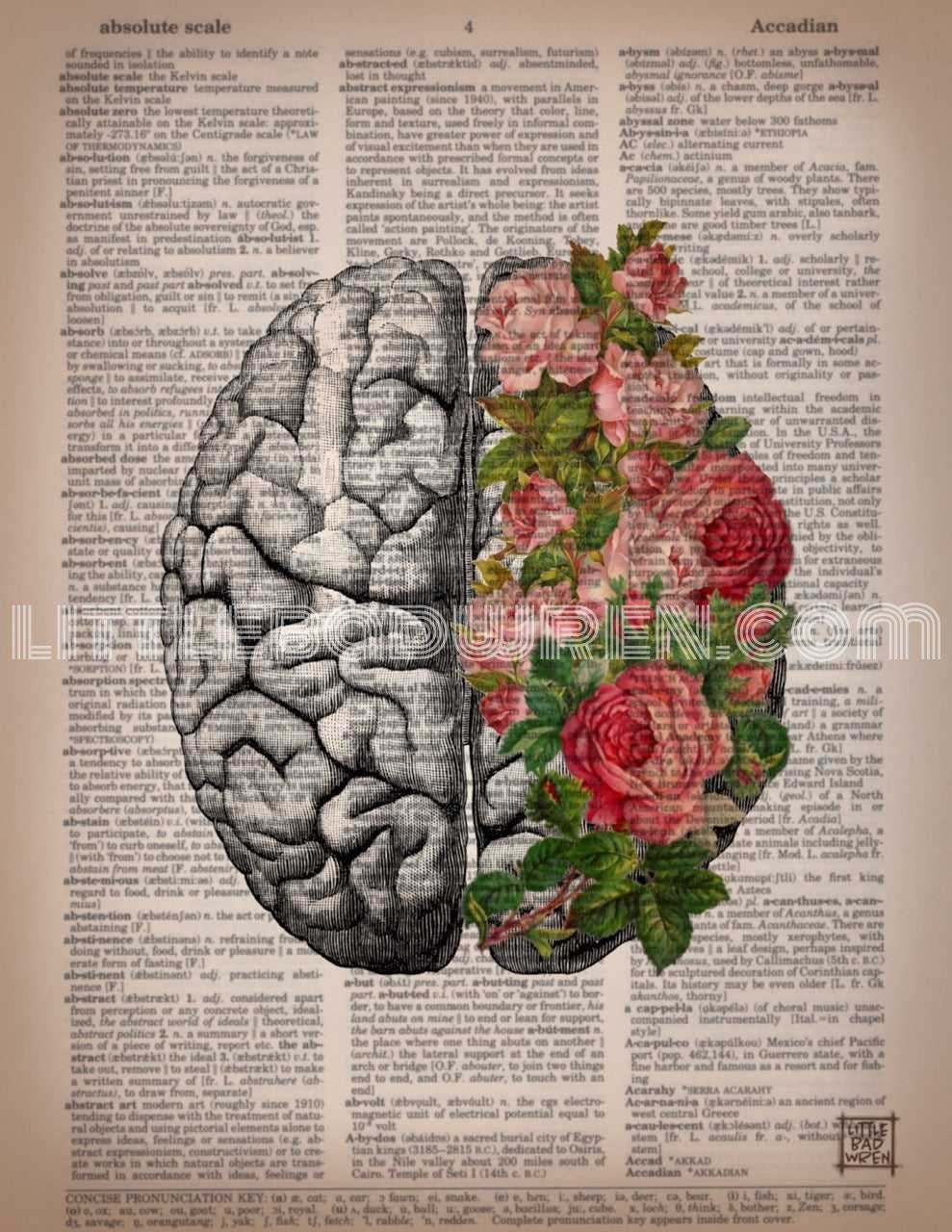 Flowering Brain image 0