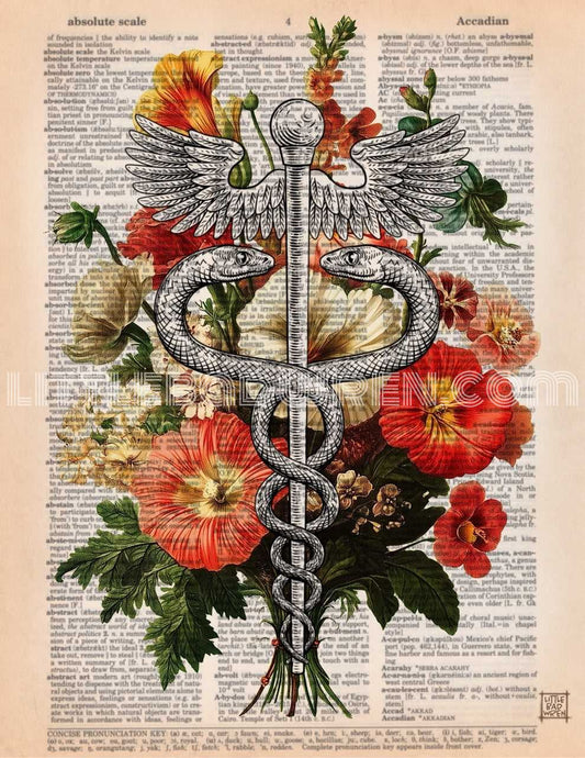 Caduceus Floral image 0