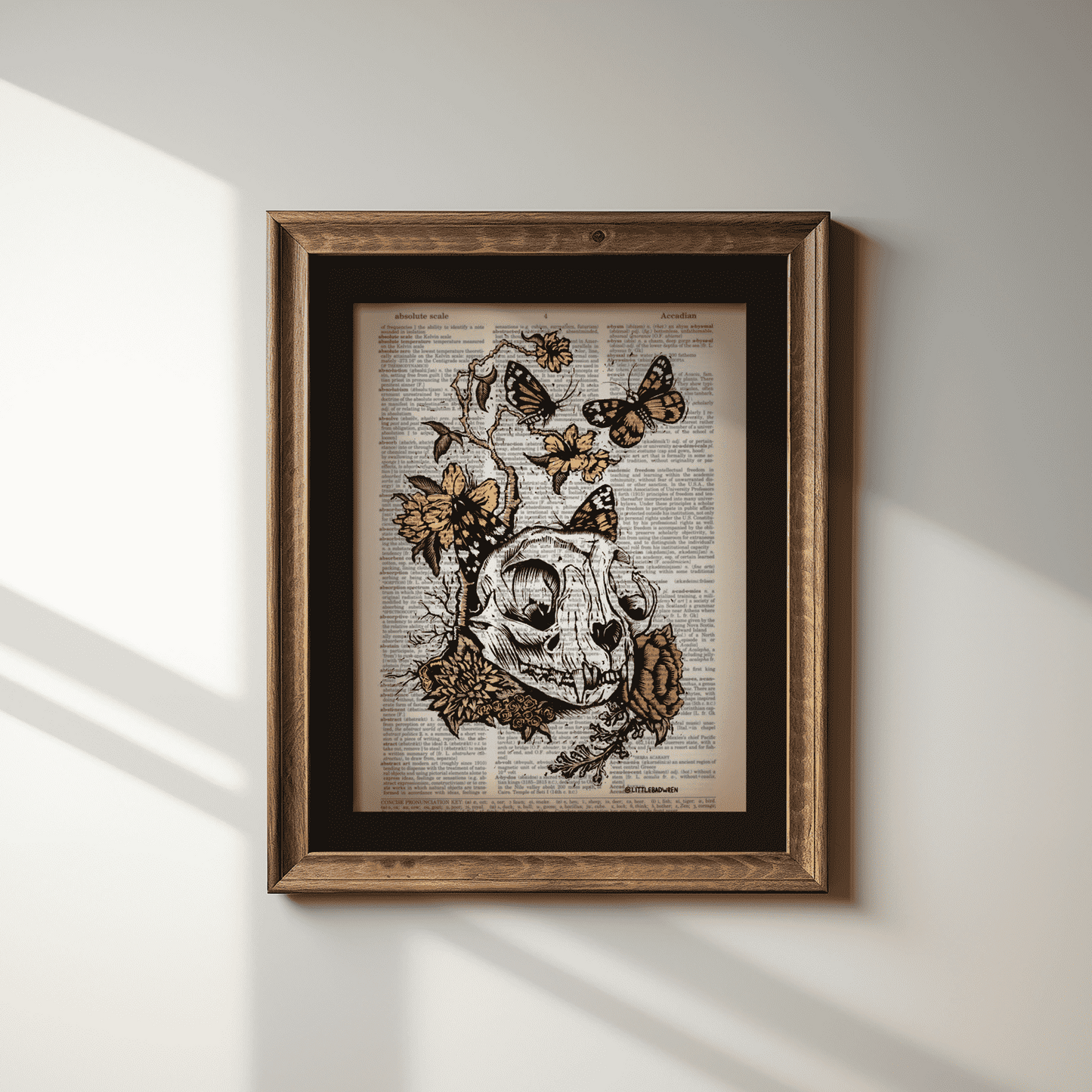 Cat Skull image 1