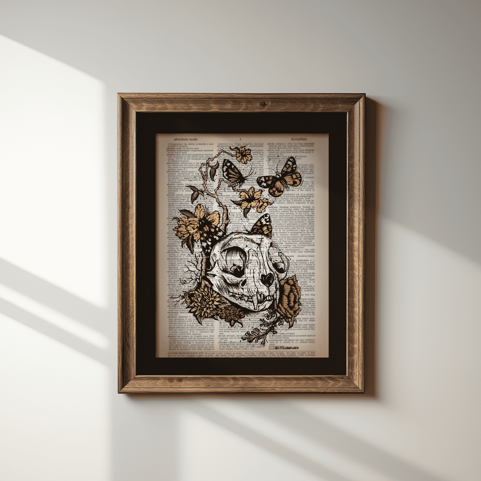 Cat Skull image 1