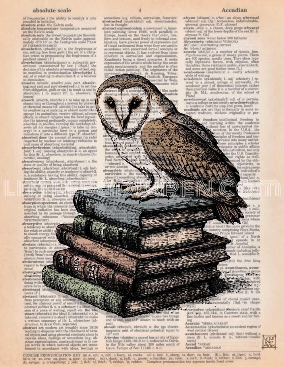 Books w/ Barn Owl image 0