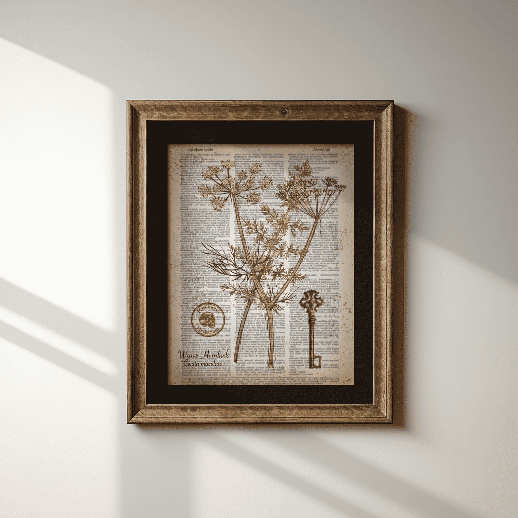Poison Hemlock image 1
