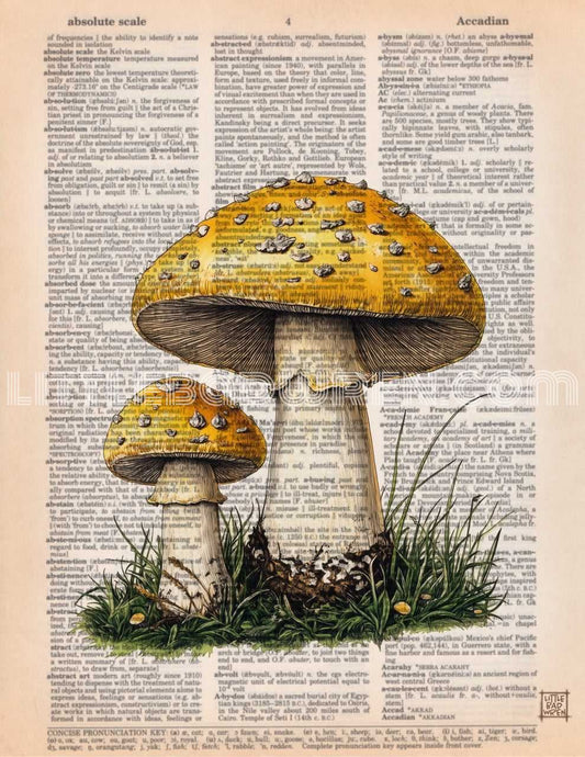 Yellow Mushroom image 0