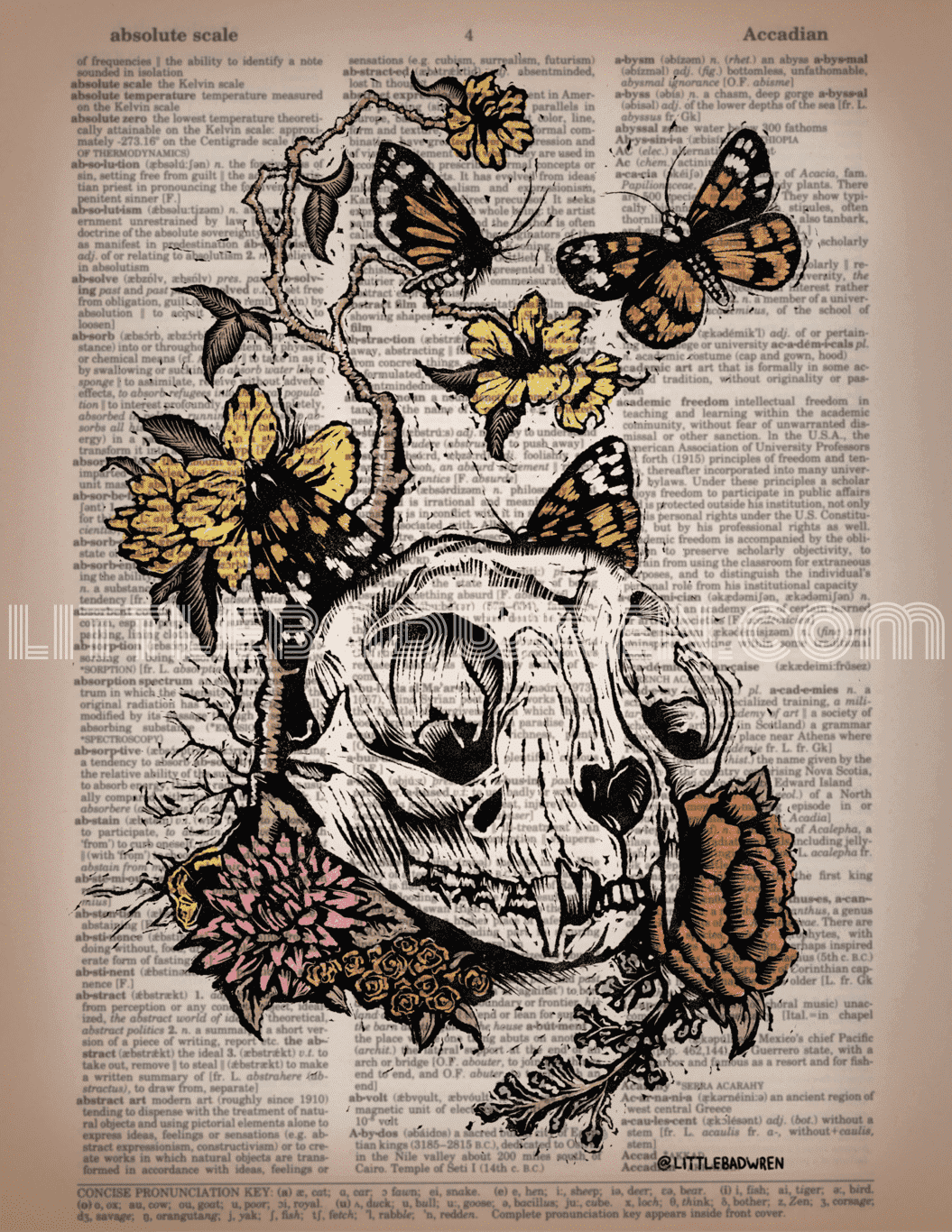 Cat Skull image 0