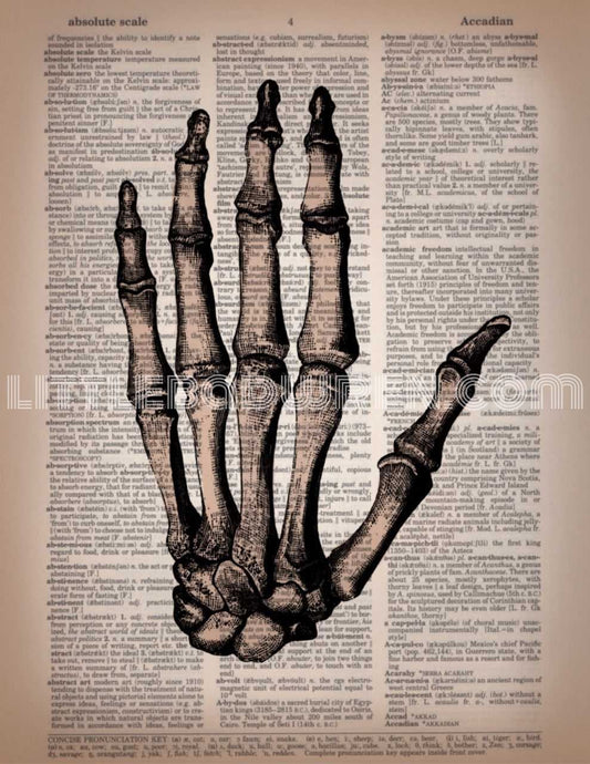 Skele Hand - L image 0