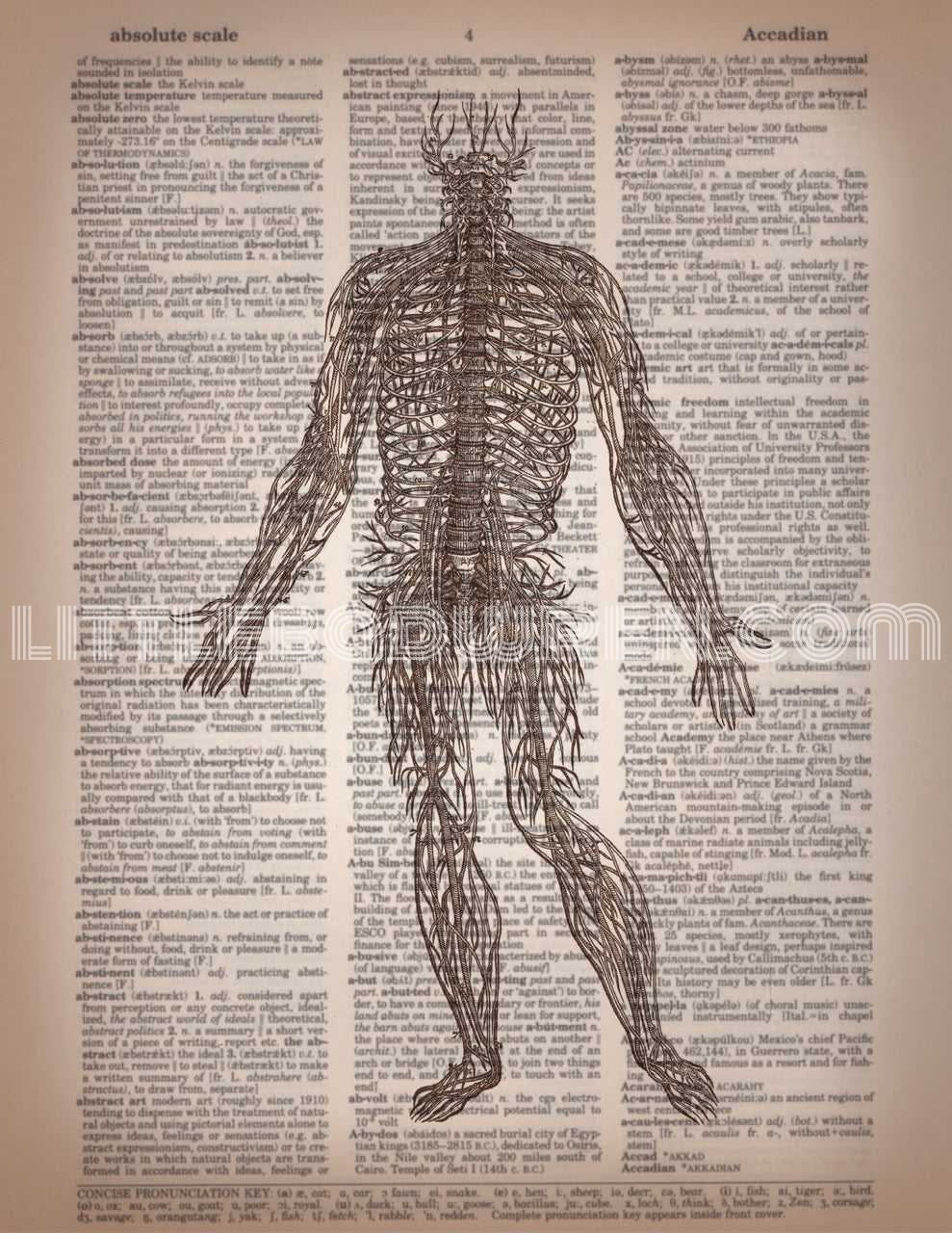 Nerves image 0