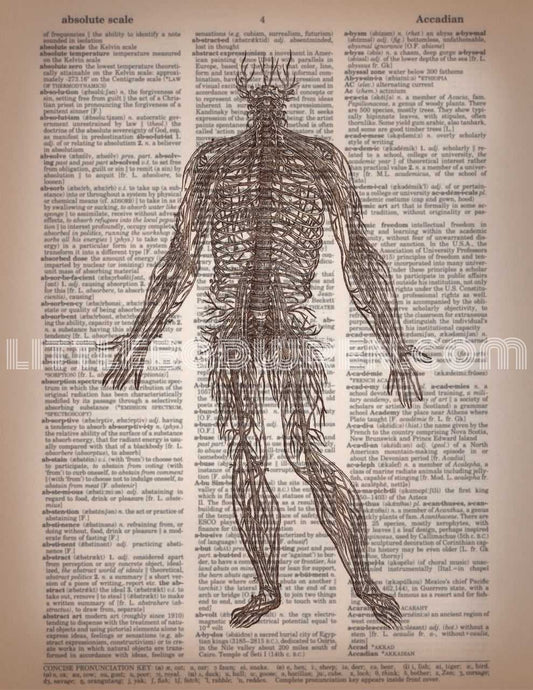 Nerves image 0