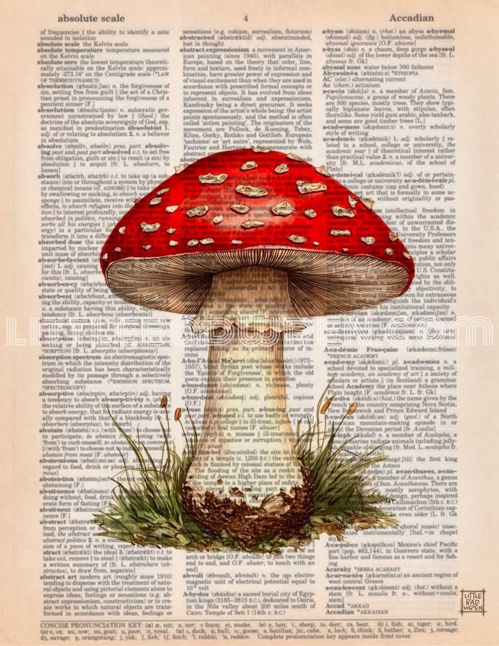 Red Mushroom IV image 0