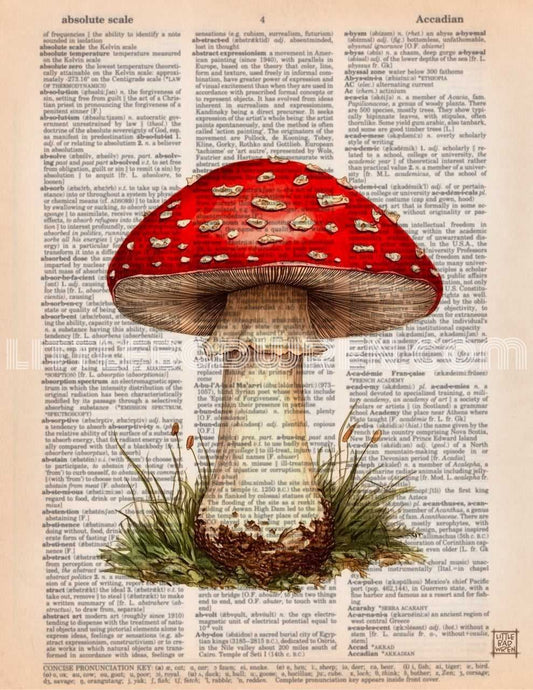 Red Mushroom IV image 0