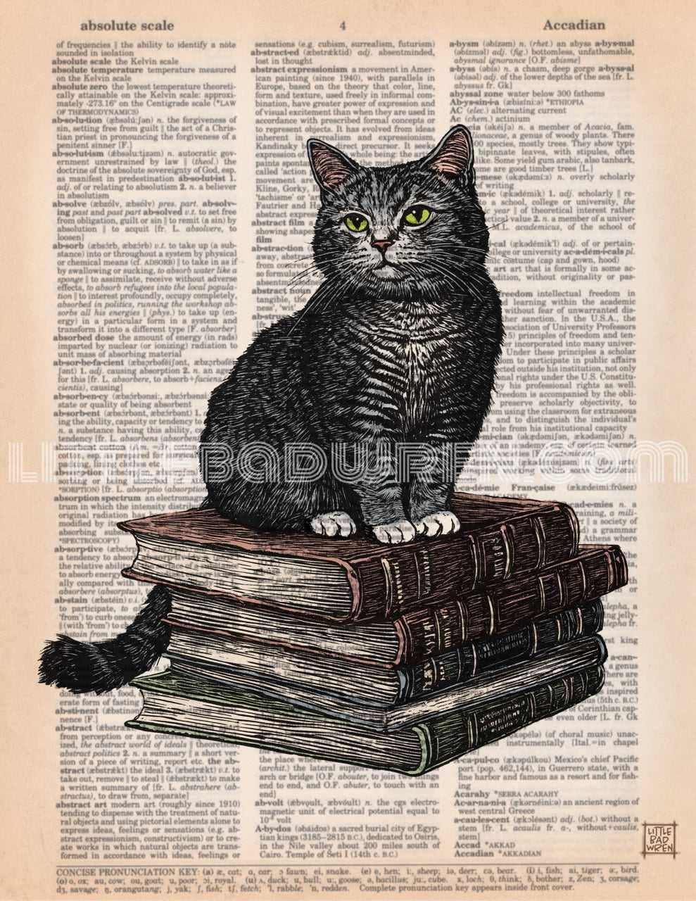 Books w/ Cat image 0