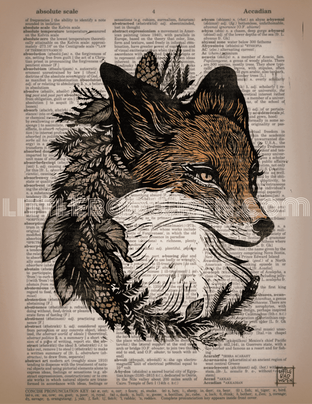Forest Fox image 0