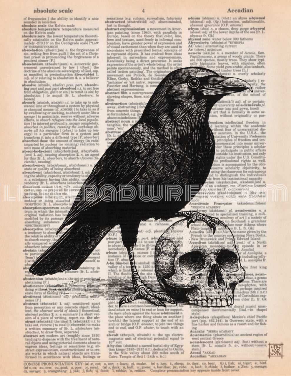 Raven w/ Skull image 0