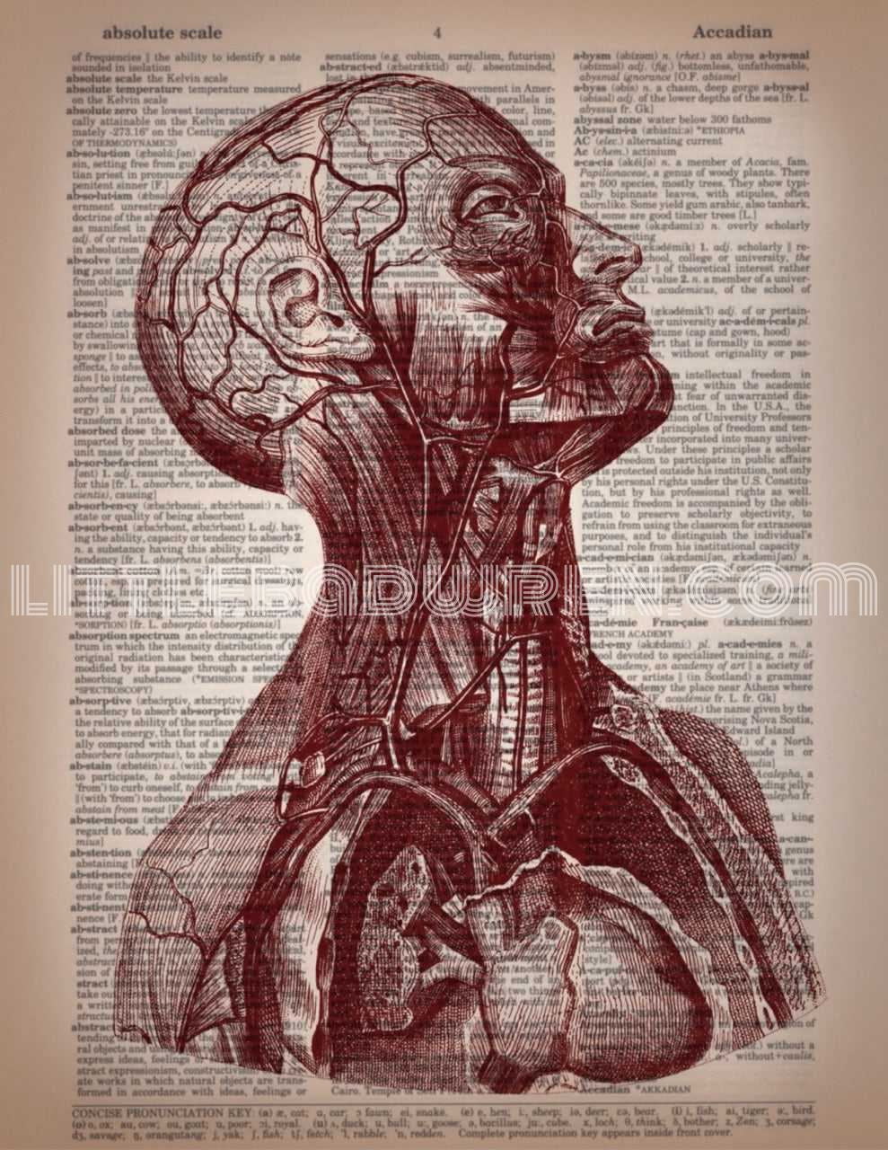 Veins image 0