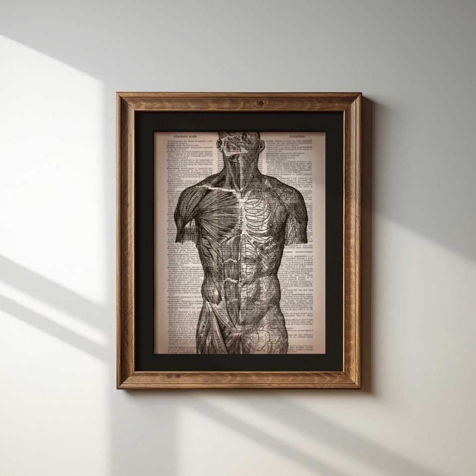 Torso image 1