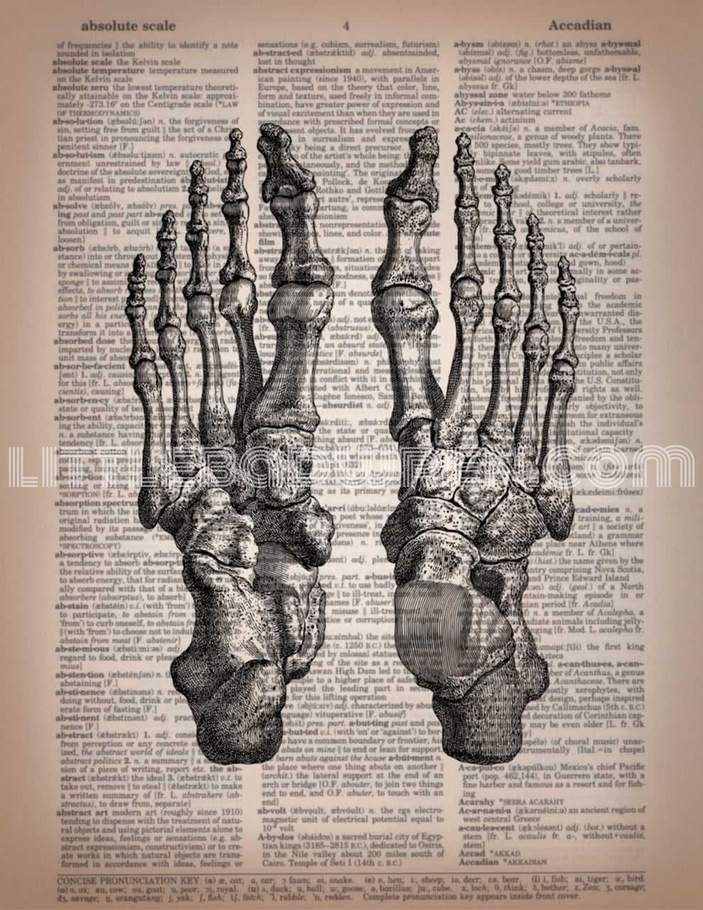 Feet image 0