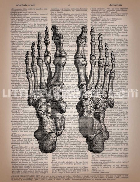 Feet image 0