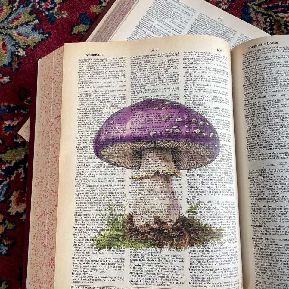 Purple Mushroom II image 2