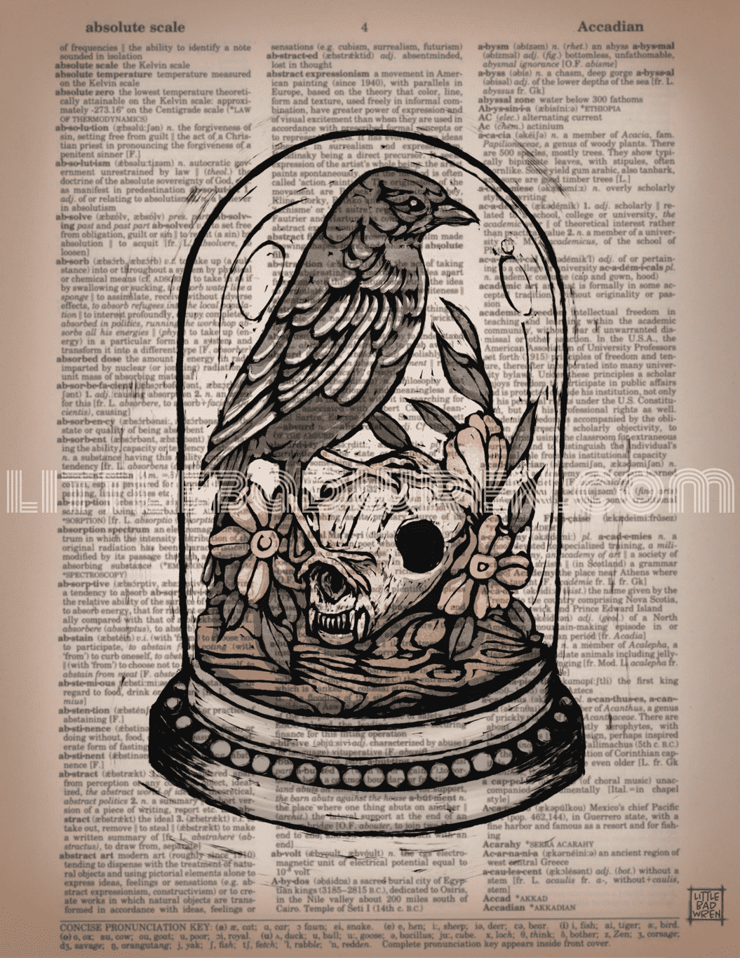 Bird Specimen image 0