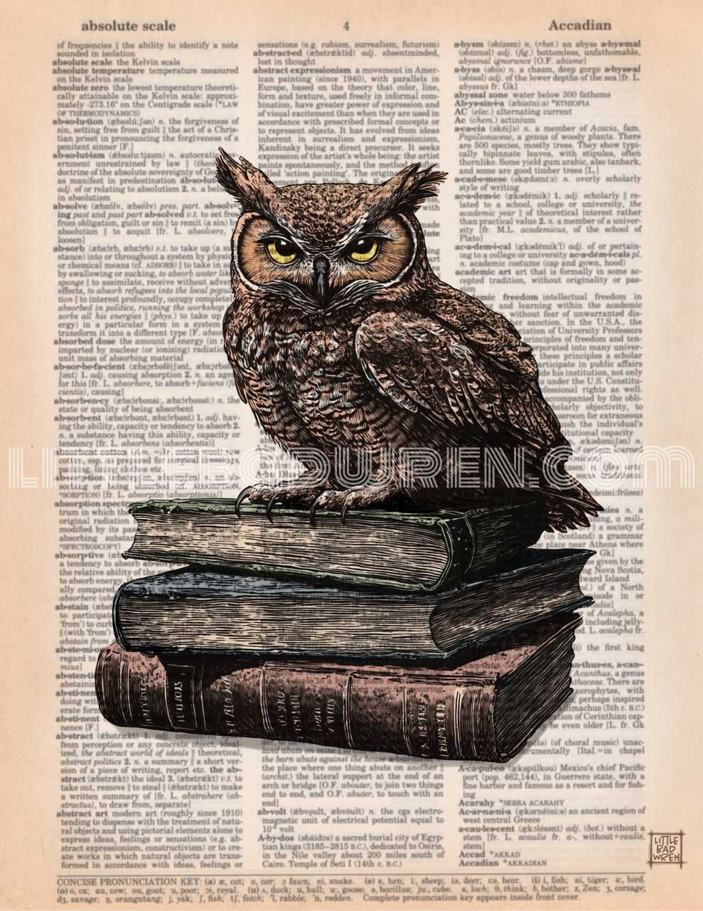 Books w/ Horned Owl image 0